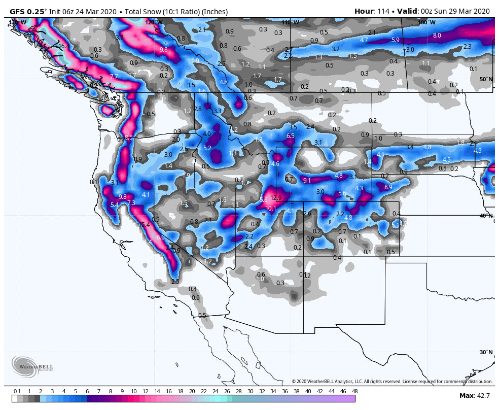 QUARANTINED POWDER- 18-24 INCHES