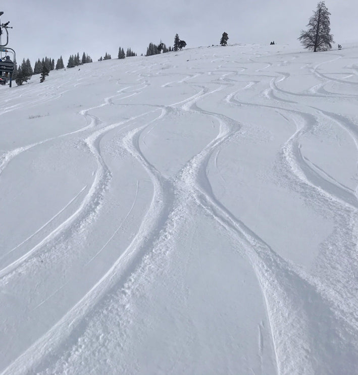 POWDER ALERT- WASATCH, TETONS, IDAHO, NORTHERN COLORADO