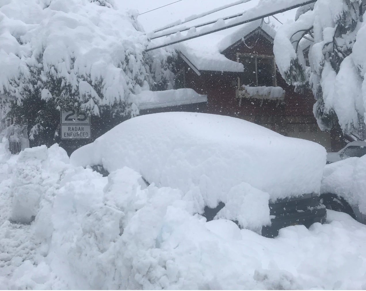SNORKEL ALERT SOUTHERN CAL- POWDER ALERT SAN JUANS, 1-2 FEET THIS WEEKEND. WHERE TO CHASE POWDER IN THE NEXT 7 DAYS.