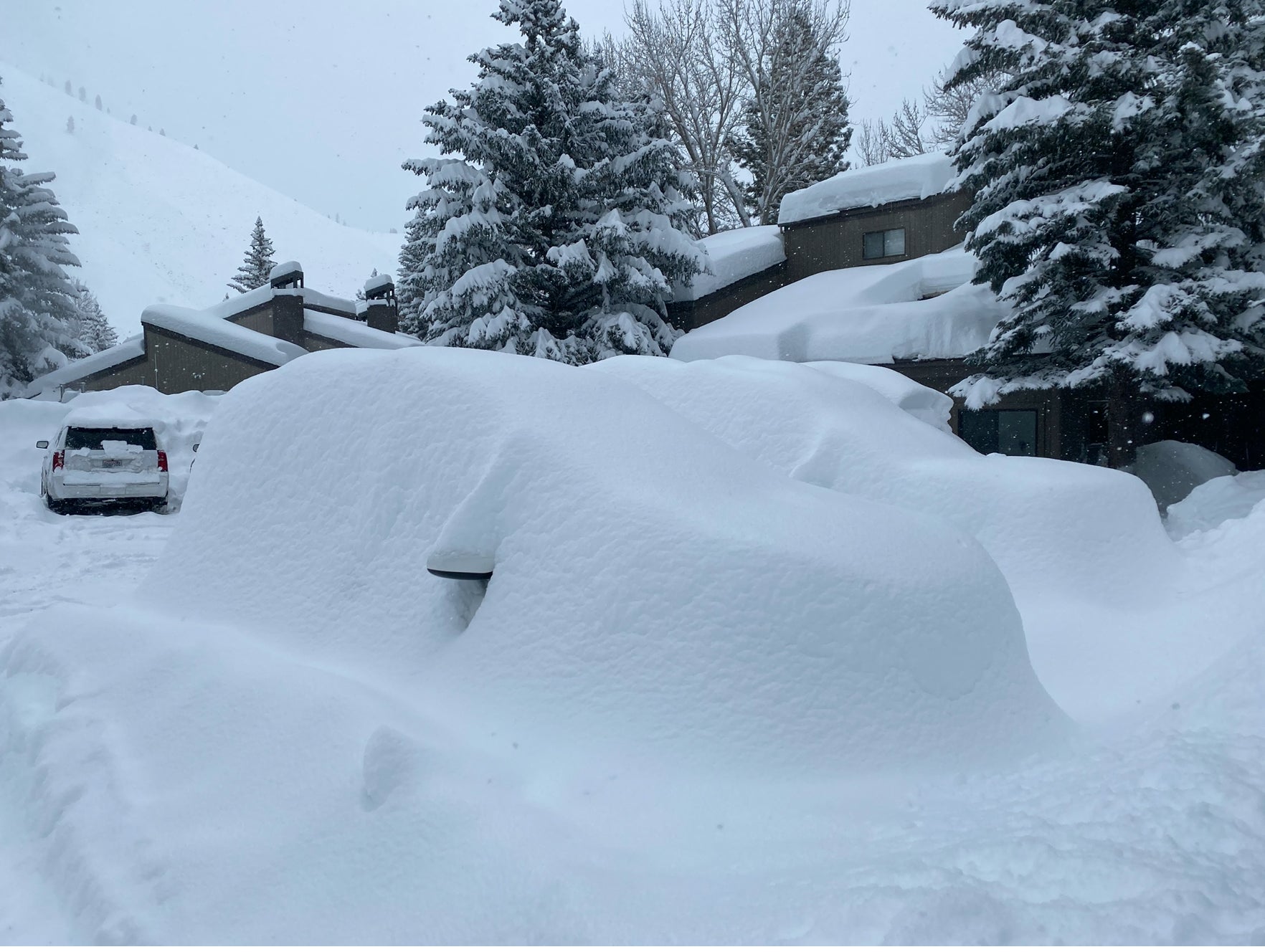 The White Room Continues! So Many Options To Chase Powder