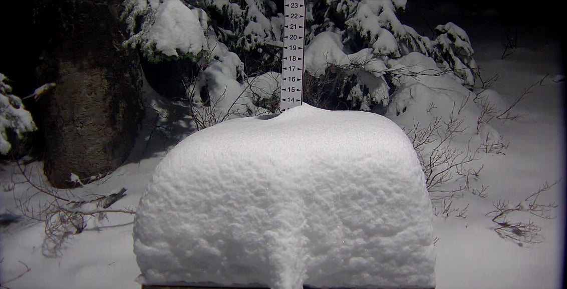 POWDER ALERT-Cascades and BC-10-20 inches- Rockies get weakening leftovers.