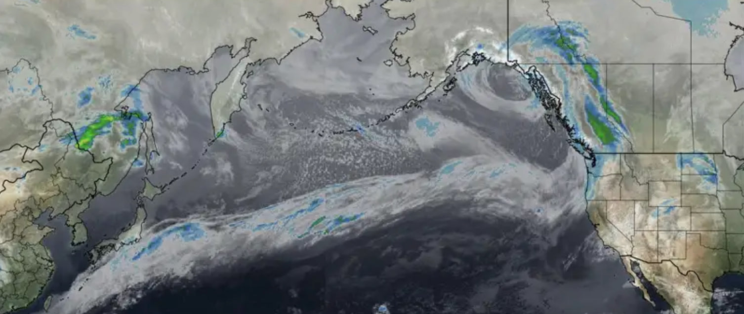 Powder Alert- Pacific Northwest -Coastal BC