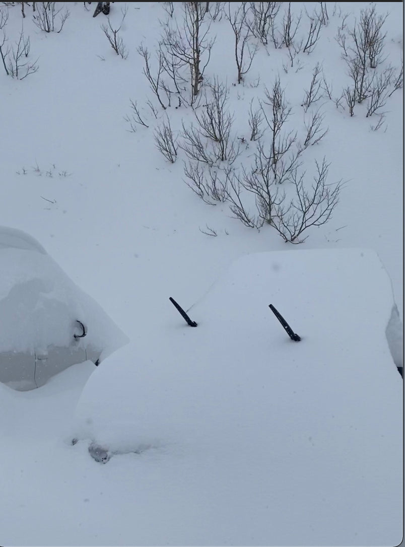 30 Inches in 48 hours for the Wasatch! Quick update on the weekend chases.