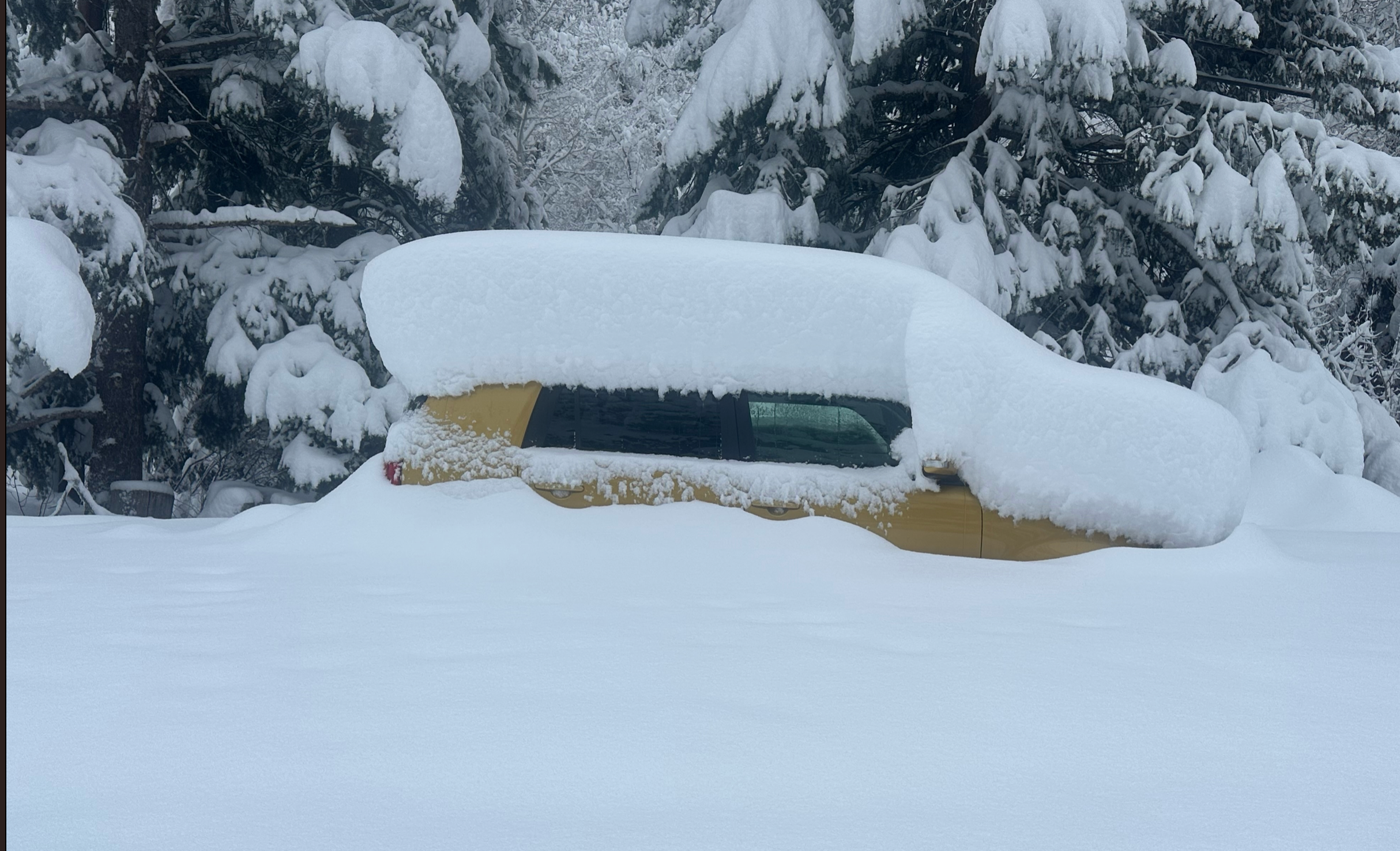 Powder Alert- 4 corners- Colorado Photo Tour 50 inches in 2.5 days.