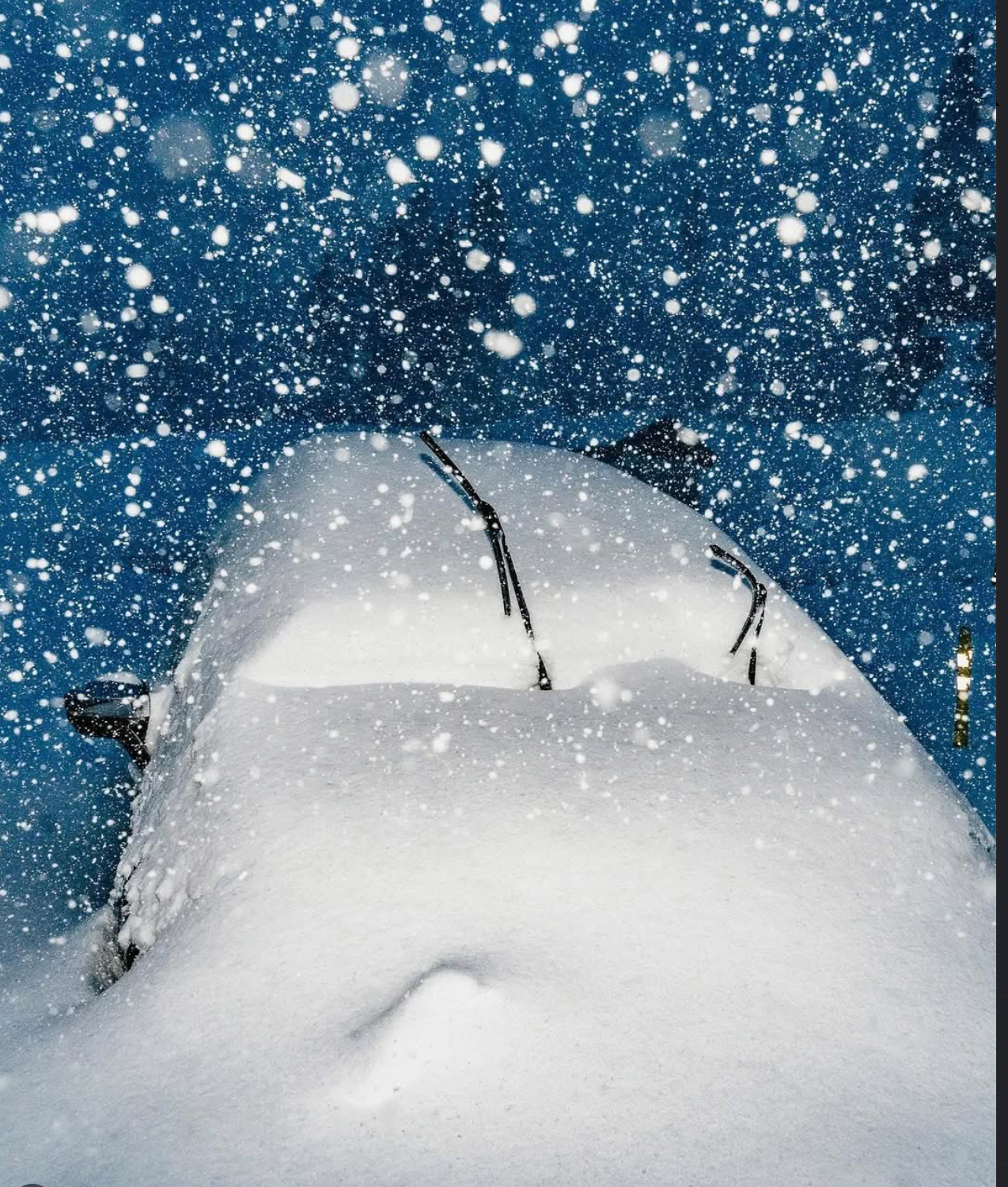 Powderchasers 2025–2026 North American Winter Forecast