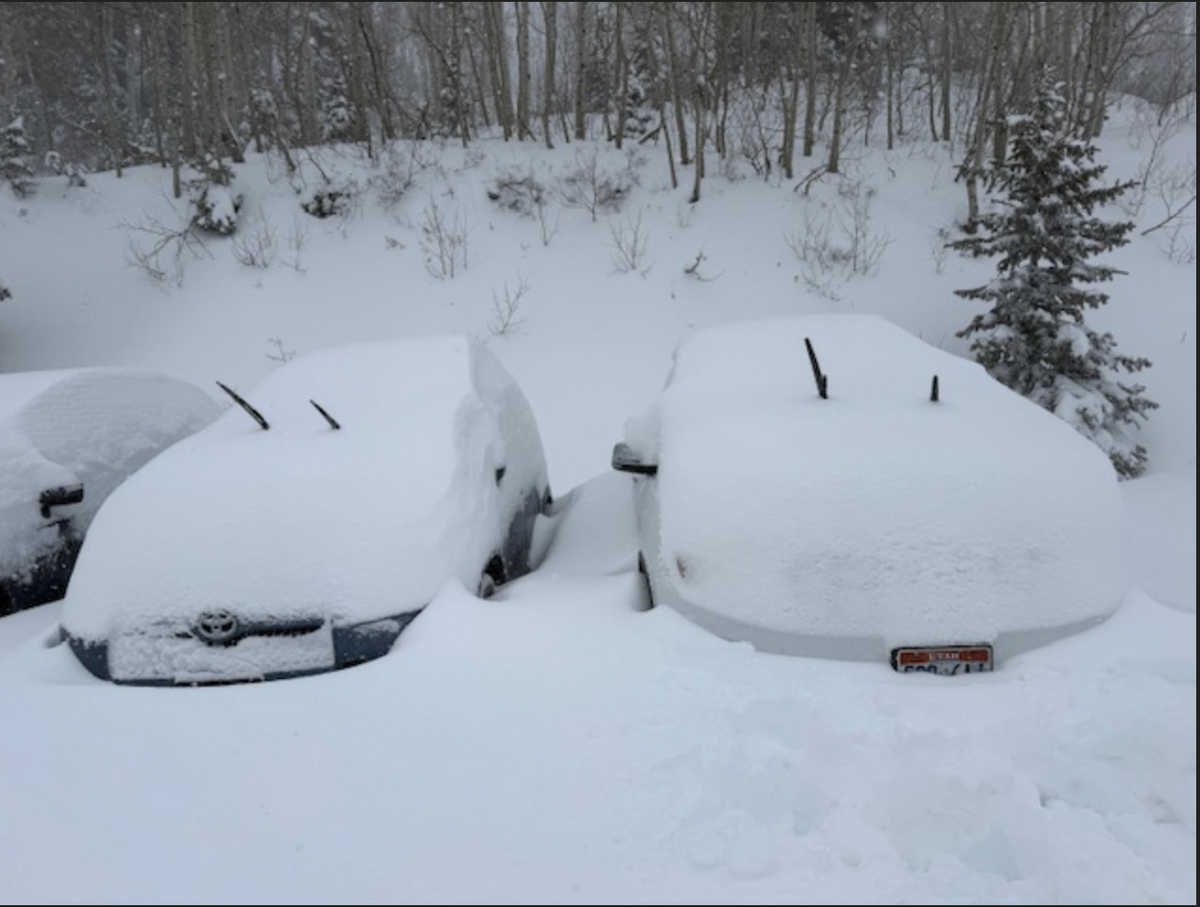 2026–27 Ski Season Forecast: What Strong El Niño Winters Actually Delivered!