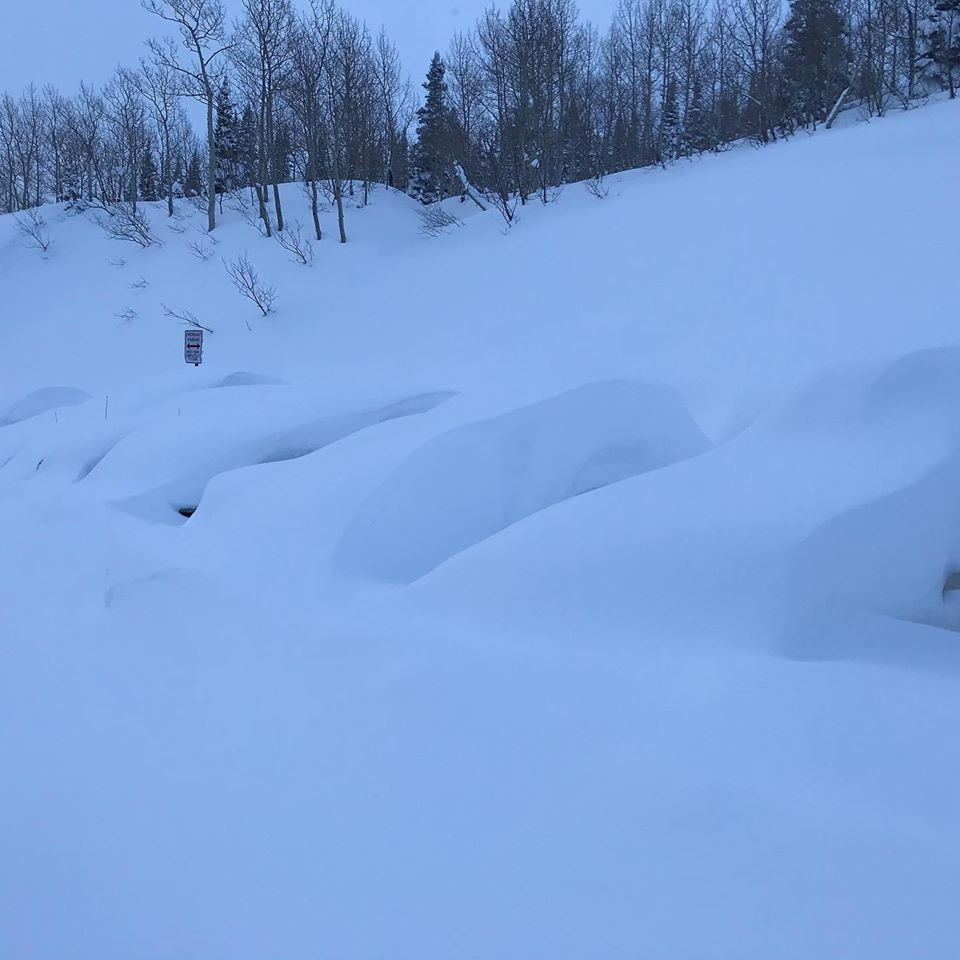 POWDERCHASERS- CONCIERGE UPDATE 2020-21 SEASON