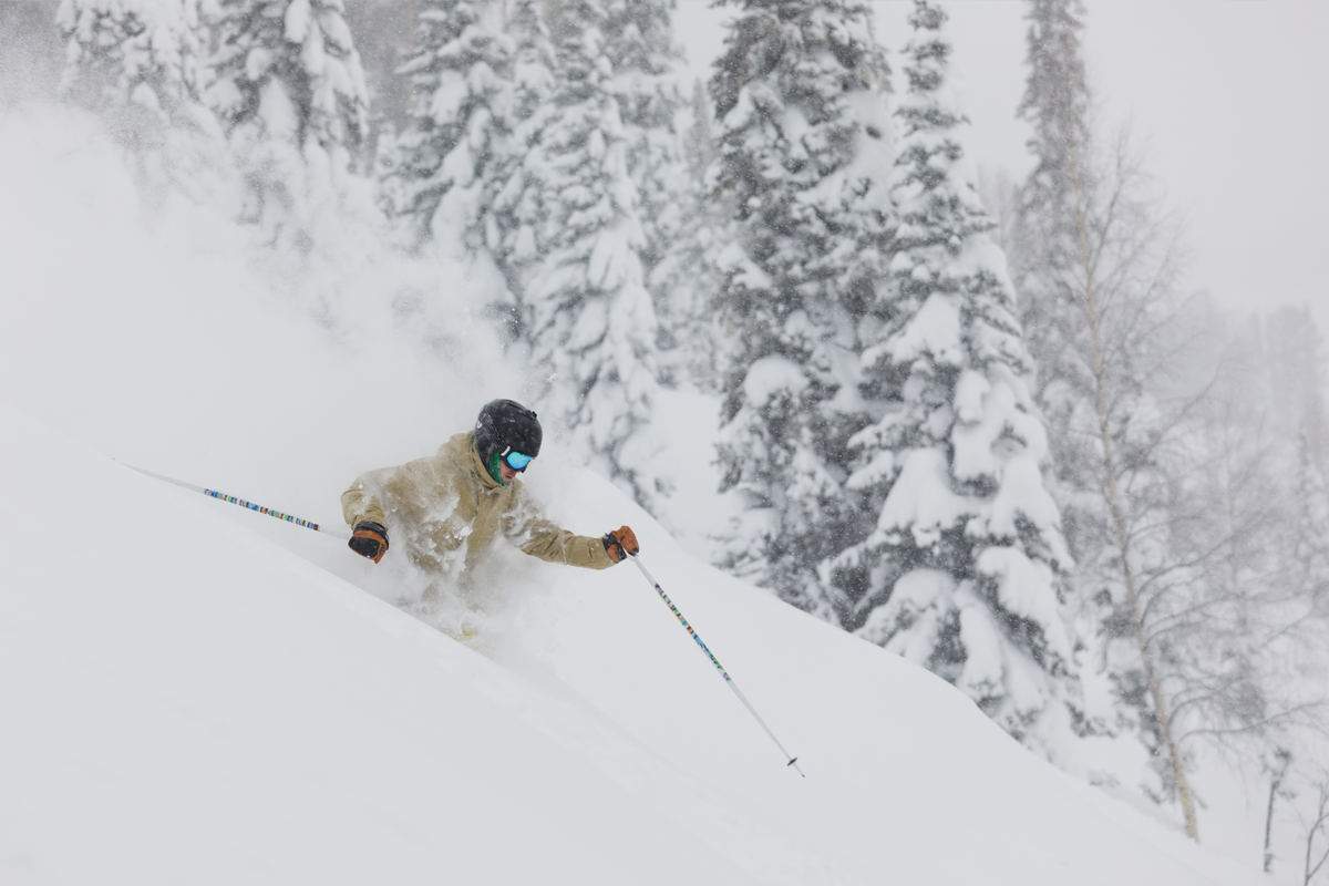 NEW PRODUCT The Concierge "Powder Guarantee" (add-on)