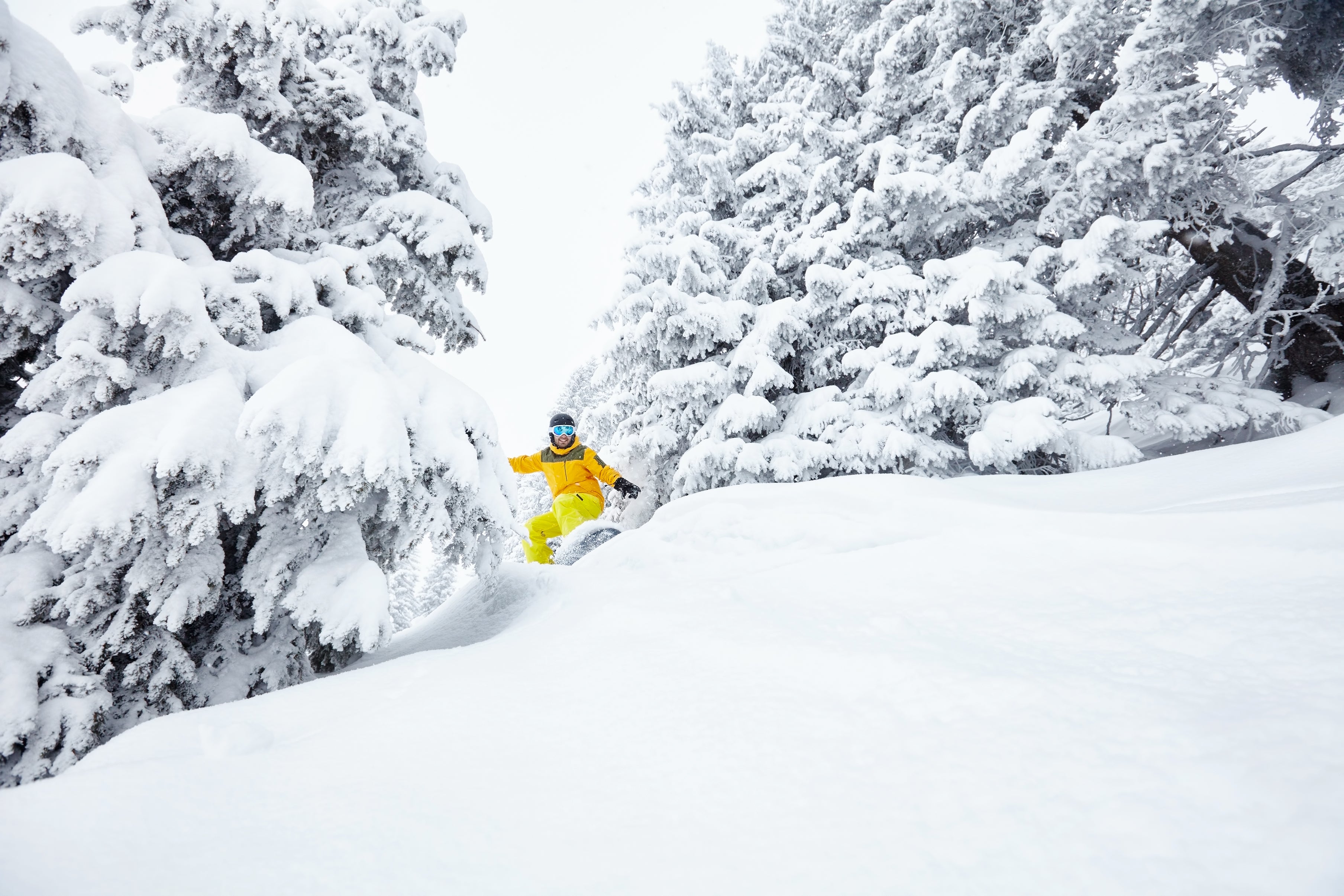 Donate to Powderchasers and get some FREE SWAG or Concierge Pkg