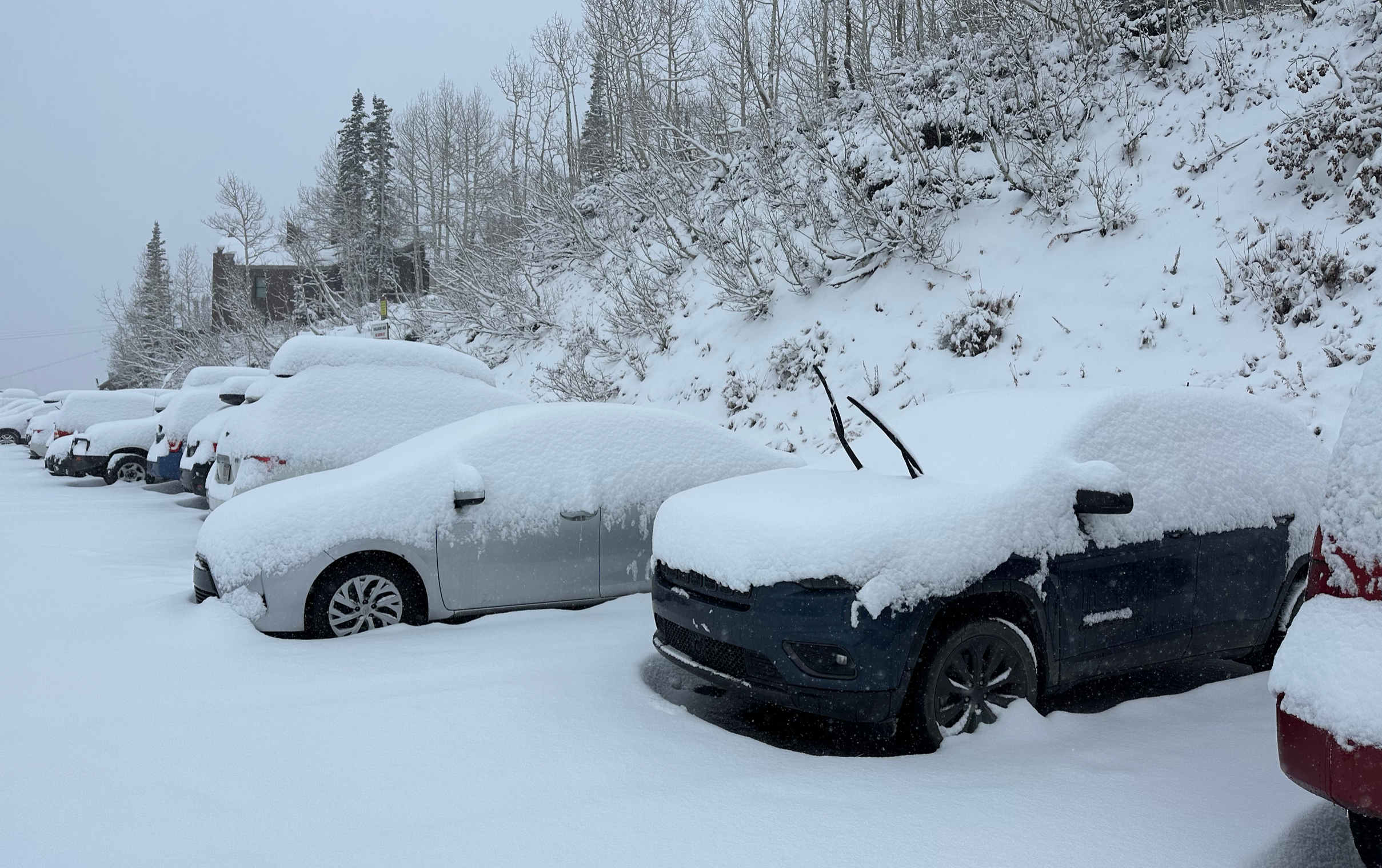 Storm Recap- 15-18 Inches for the Cottonwoods- Next Storm Due late on Turkey Day