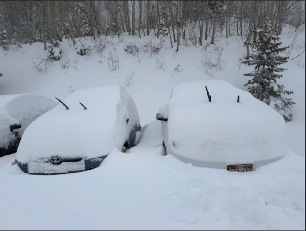 2026–27 Ski Season Forecast: What Strong El Niño Winters Actually Deli